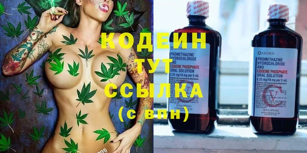 амф Арсеньев