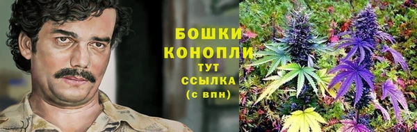амф Арсеньев