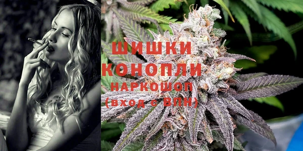 амф Арсеньев