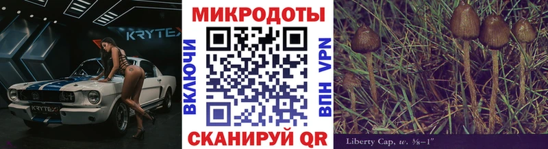 кракен сайт  Суворов  Галлюциногенные грибы Magic Shrooms 