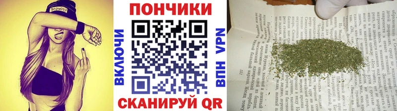 МАРИХУАНА OG Kush  наркотики  Суворов 